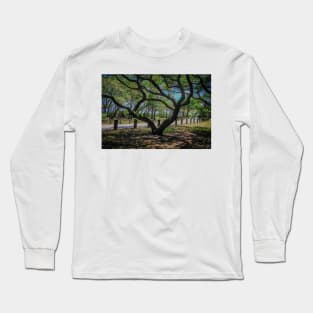 Shape of South Carolina in a Tree Long Sleeve T-Shirt